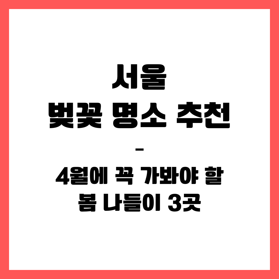 서울 벚꽃 명소 추천 – 4월에 꼭 가봐야 할 봄 나들이 3곳