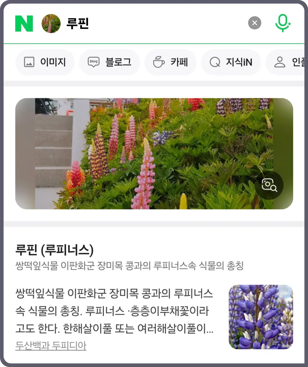 꽃-이름-찾기-방법-검색-어플