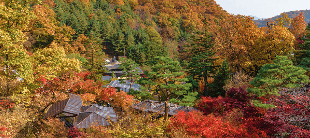 화담숲 취소표 예매