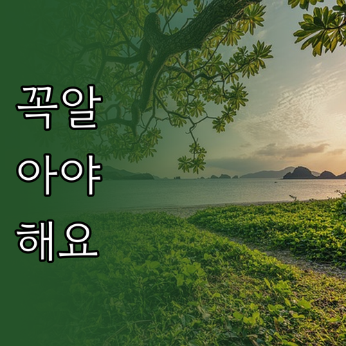 프리랜서 소득세 더 내지 마세요 절세..