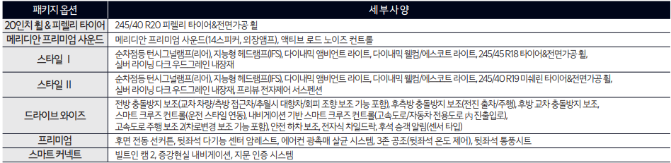 2.5 가솔린 옵션