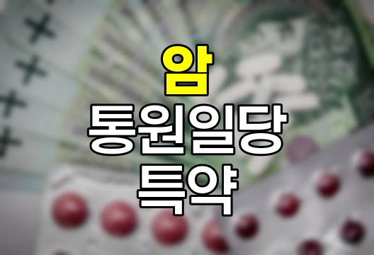 암 통원일당 특약의 실효성과 선택 기준