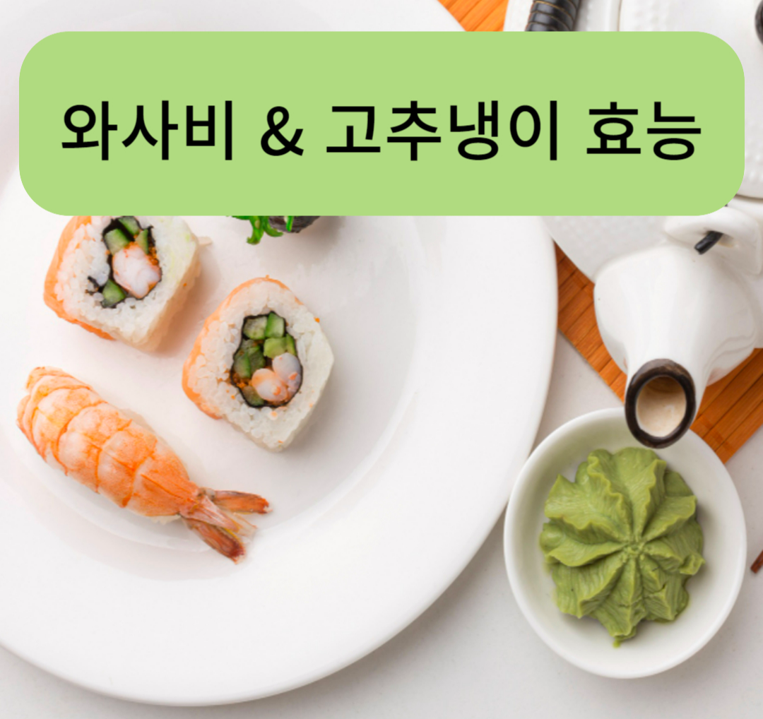 와사비&고추냉이 (효능/차이점)