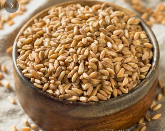 파로쌀-파로-효능-파로효소