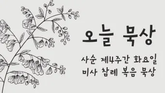 2025년 5월 15일 매일미사 부활 축제 묵상_12