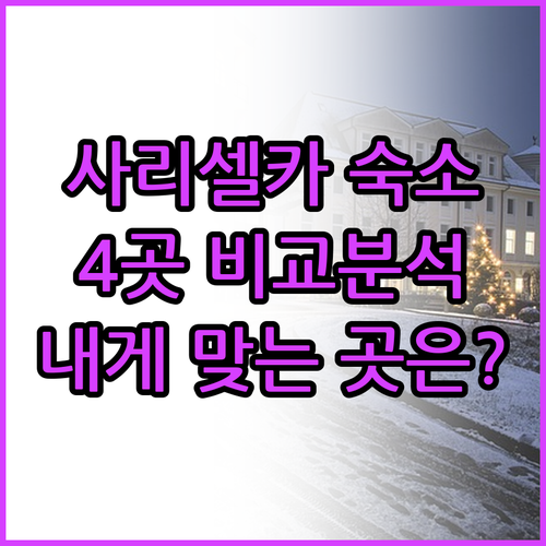 사리셀카 숙소 4곳 장단점 비교 분석