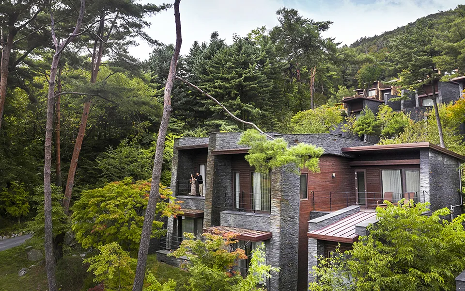 제천 포레스트 리솜 객실 국내 온천 후기_2