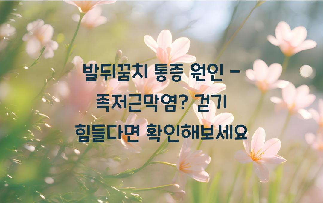 발뒤꿈치 통증 원인 - 족저근막염 신호? 걷기 힘들다면 체크!