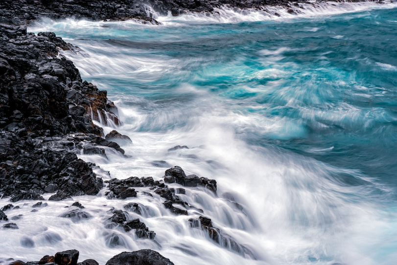 새로운 일자리의 보고가 될 바다