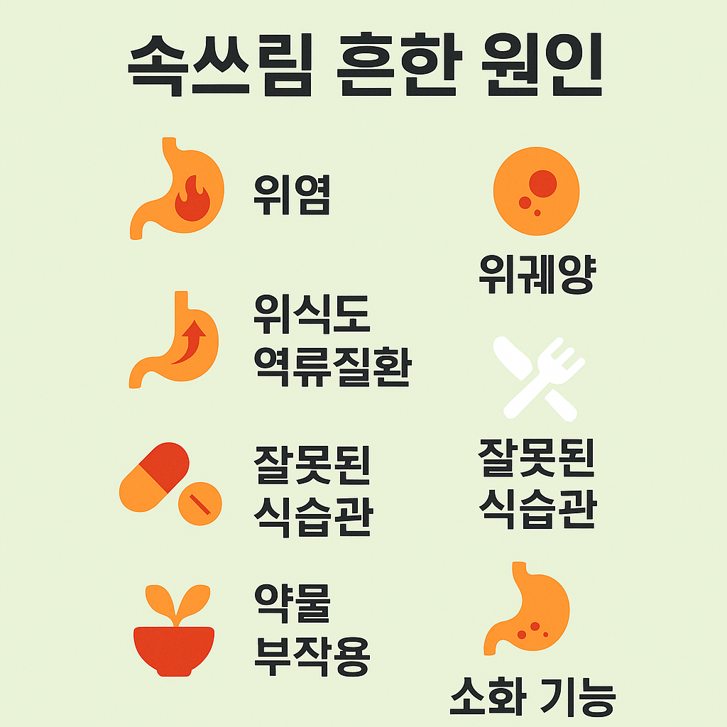 속쓰림 주요 원인을 나타낸 인포그래픽 이미지 – 위염, 위궤양, 위식도 역류, 잘못된 식습관, 약물 부작용, 소화 기능 저하 등 위산 역류를 유발하는 다양한 원인을 간결하게 정리