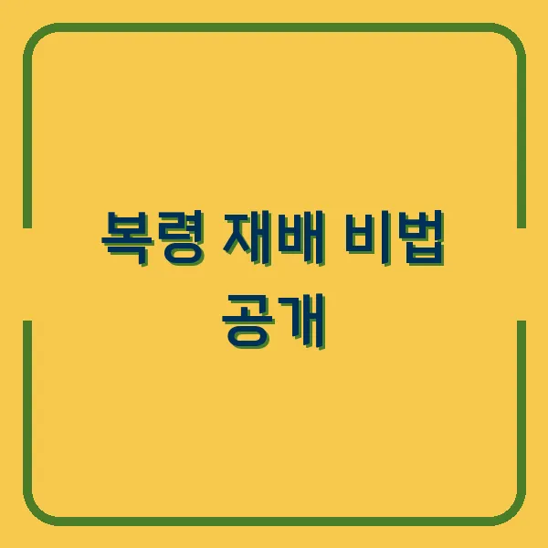 복령 재배 비법 공개