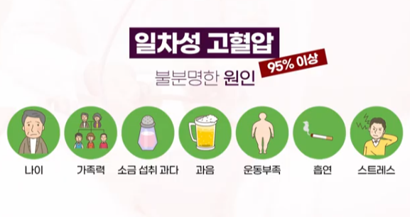 1 차성 고혈압과 2 차성 고혈압 