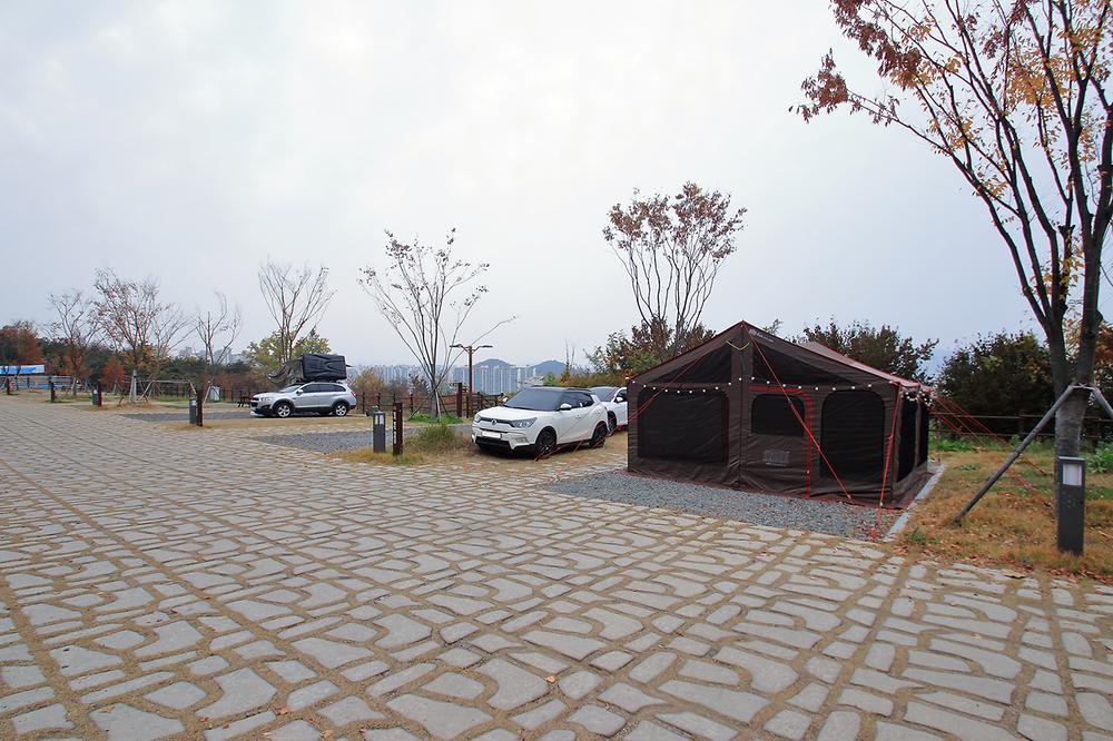 대구 달서별빛캠프 캠핑장 소개