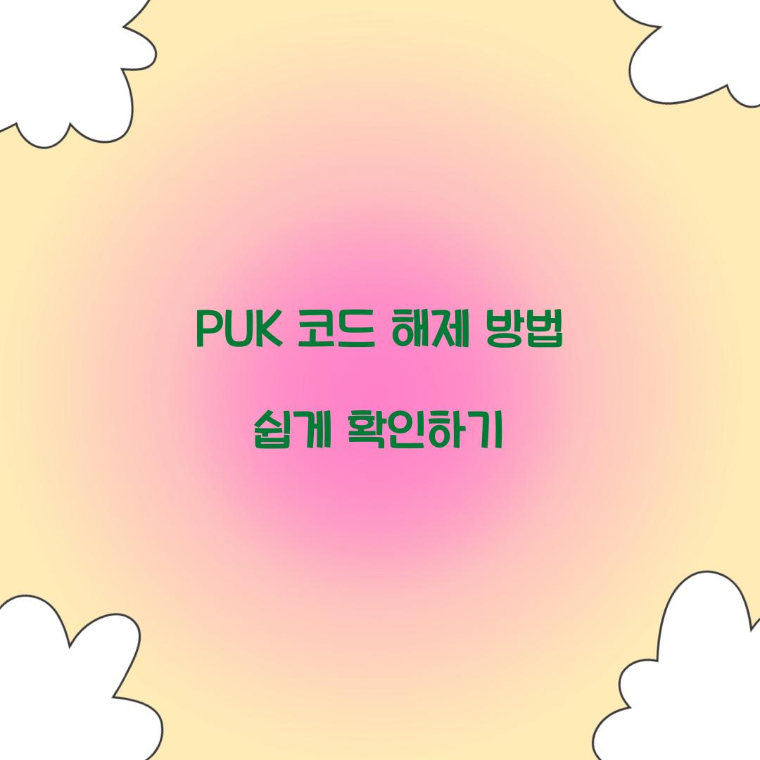PUK 코드 해제 방법