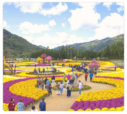 강원 세계산림엑스포