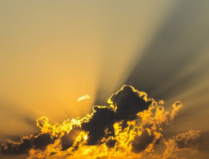 기억력 높이는 브레인 푸드 추천