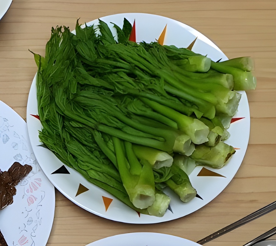 두릅 효능 두릅데치기 알아보기