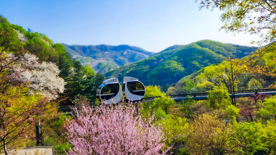 화담숲 예약 사진