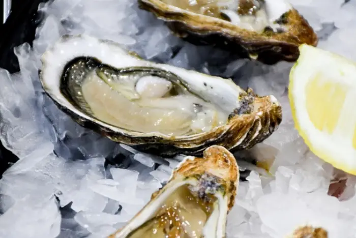 굴 노로바이러스 증상