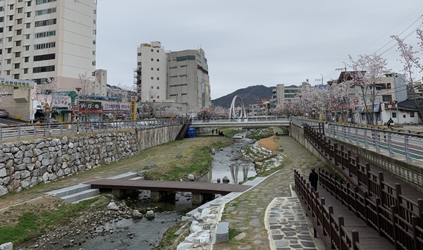 천변 물 냄새&middot;습도&middot;날씨 따라 변화한 패턴 기록