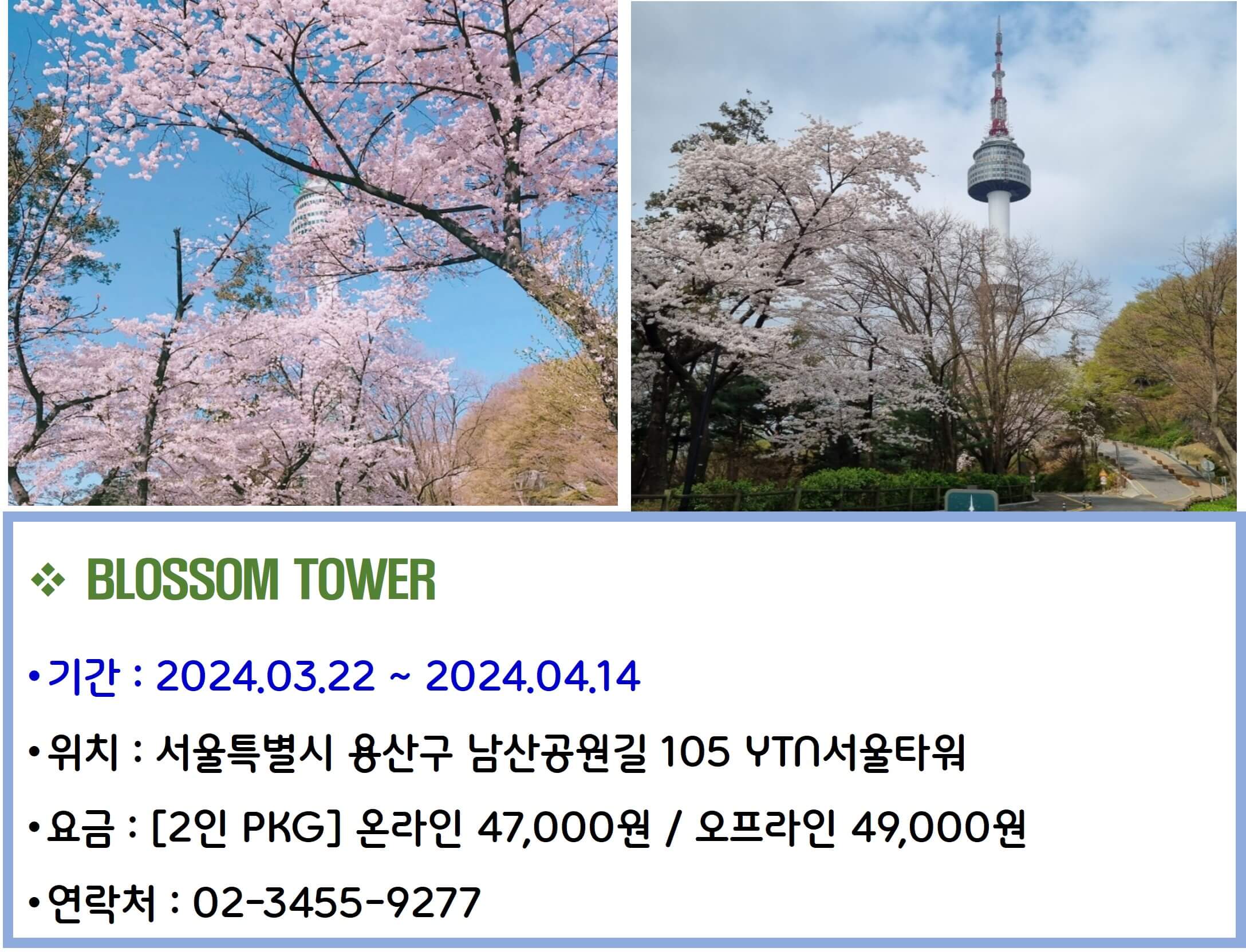 BLOSSOM TOWER