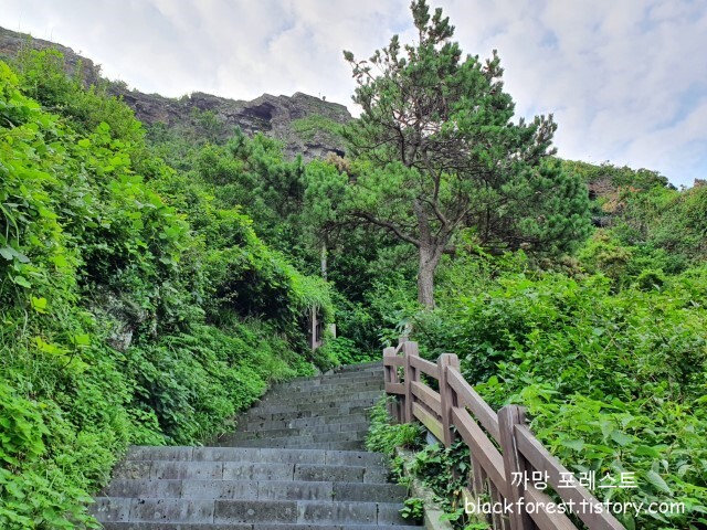 성산일출봉 오르막