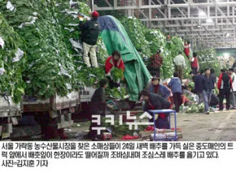 가락동 농산물 경매시세 실시간 확인 완벽 농산물 정보_9