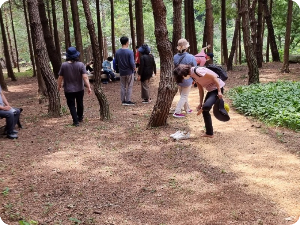 편백숲 맨발로 걷기 출처: 하늘빛 수목정원