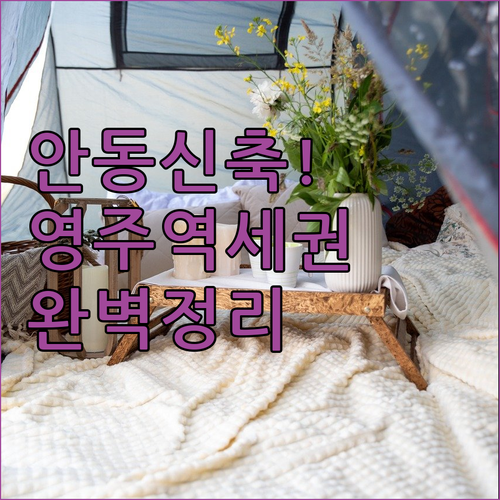 경북 여행 숙소 가이드 안동 신축 호..