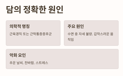 담의 정확한 원인