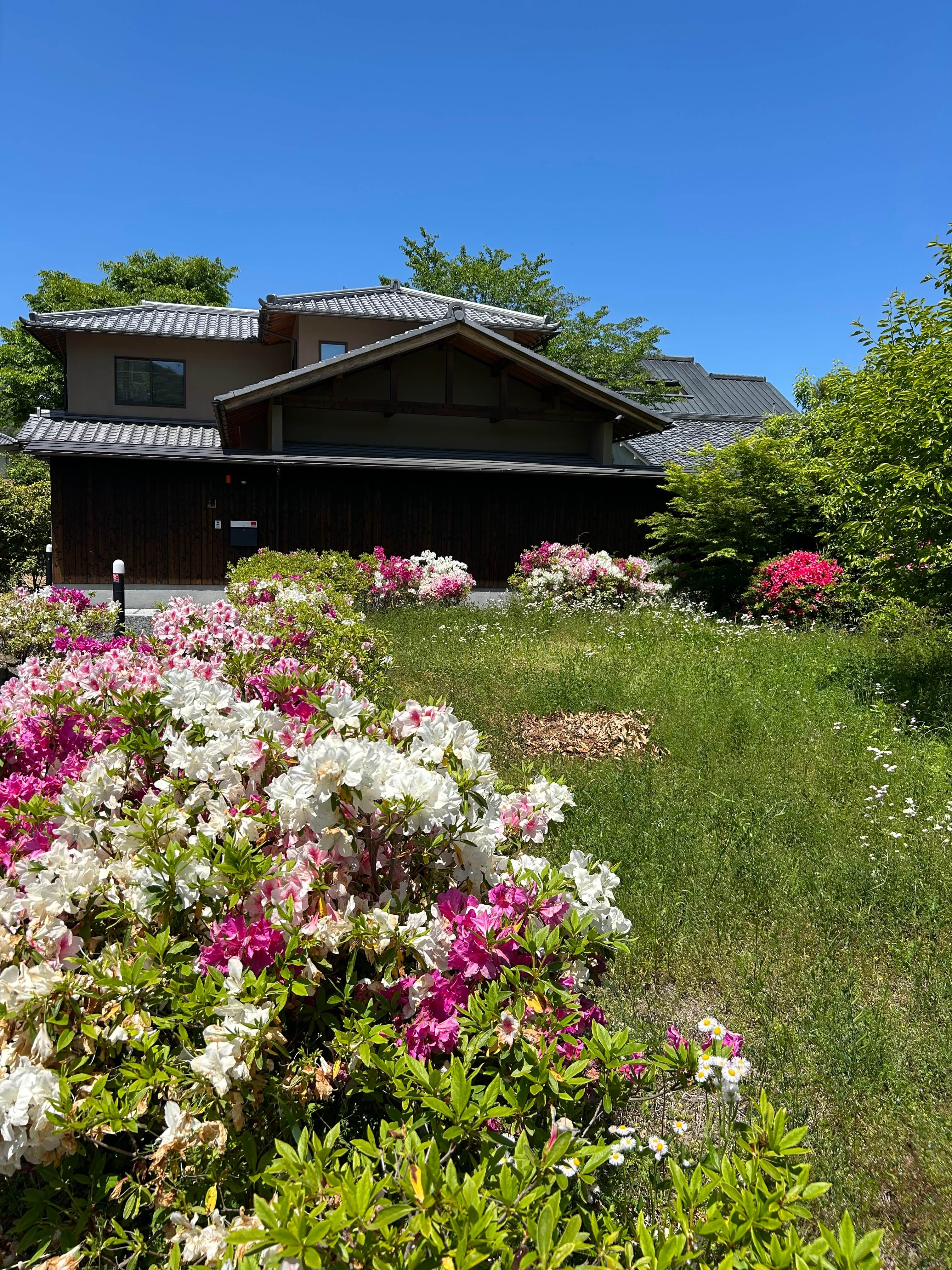 오사카·교토 3박4일 여행자를 위한 교통패스 정리 관련사진