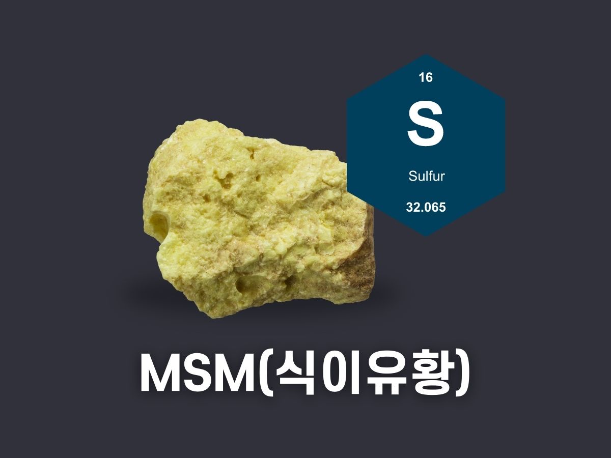 msm의 효능 부작용 복용법 가격