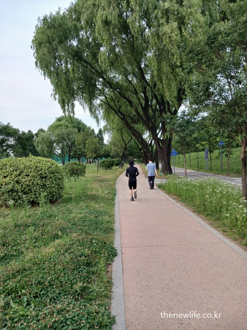 Joggers on a lush green trail &ndash; a healing moment with nature-녹음 짙은 산책로에서 조깅 중인 사람들 &ndash; 자연과 함께하는 정신 치유의 시간