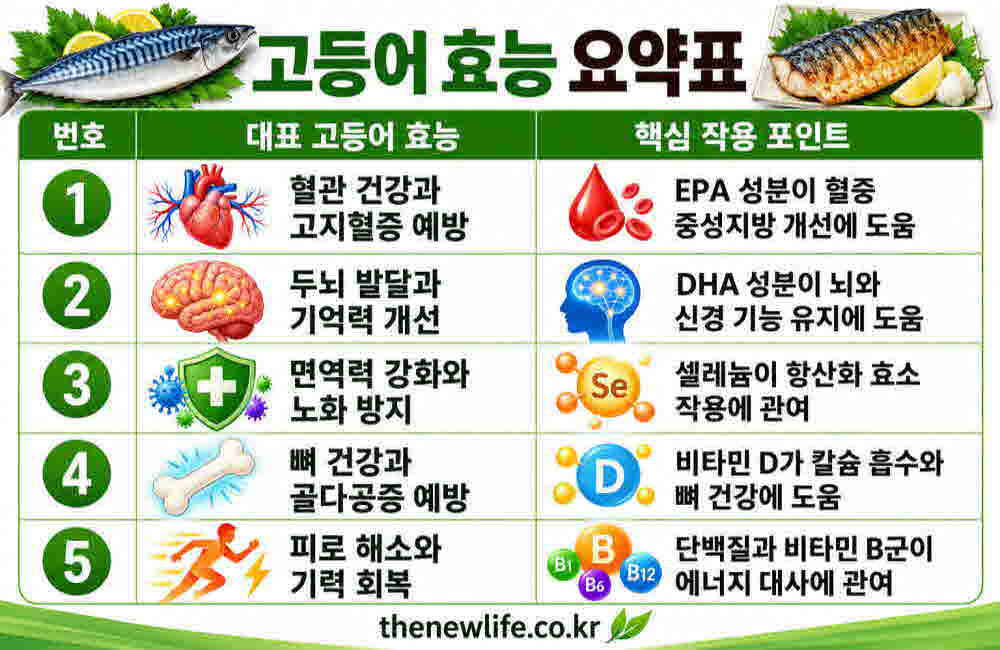 고등어 효능 요약표