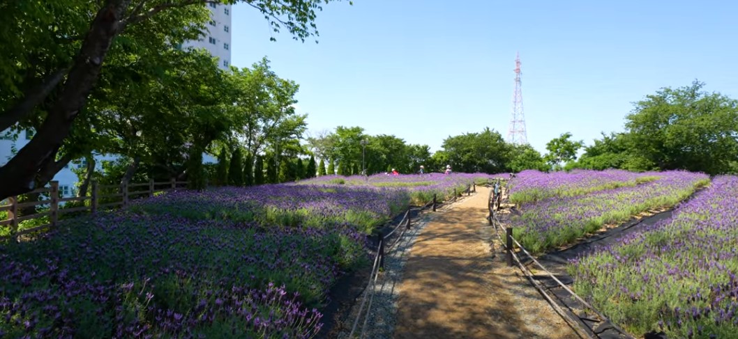 5월에 꼭 가봐야 할 적국 봄꽃 명소
