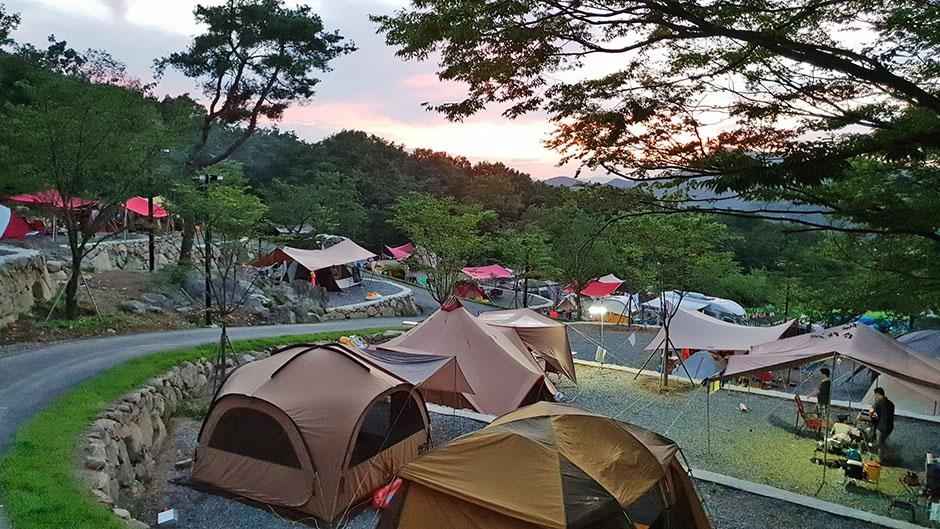 가산수피아 캠핑장
