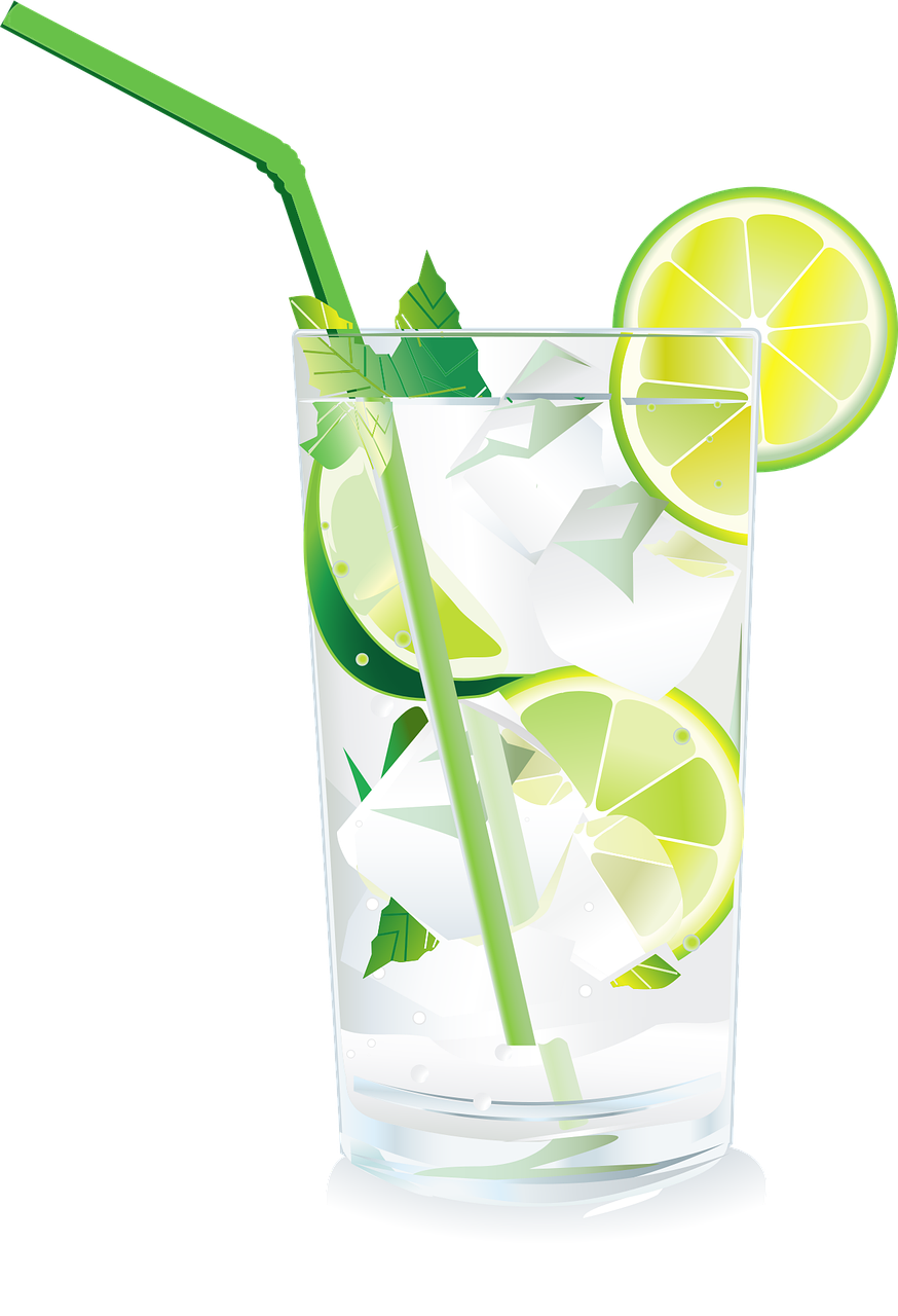 노년기 술과 약