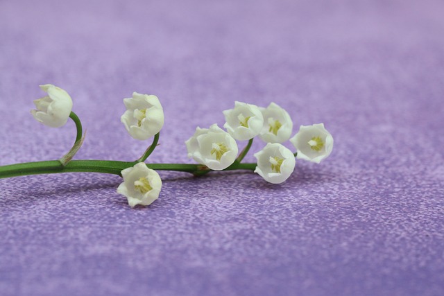 ์๋ฐฉ์ธ๊ฝ ํฌํ