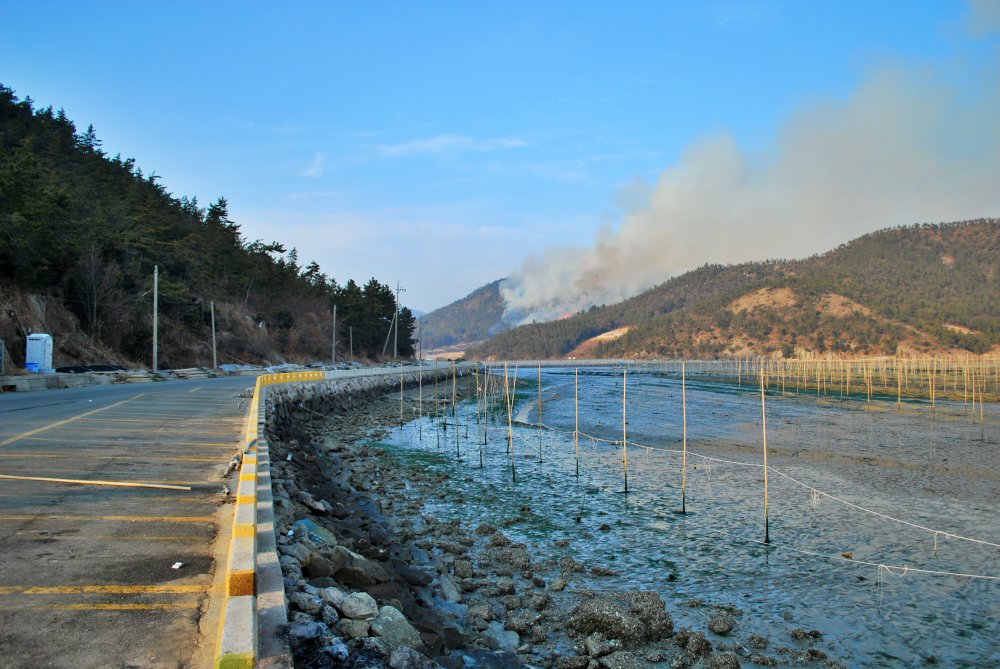 내저마을 매생이 양식장