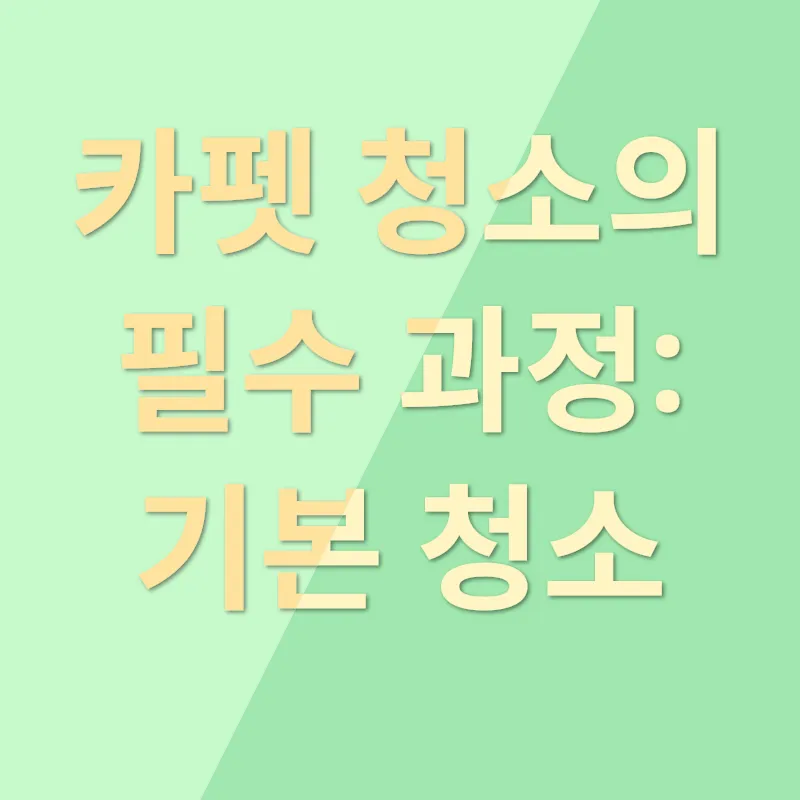 카펫 청소_1