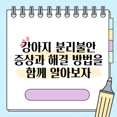 강아지 분리불안 증상과 해결 방법을 함께 알아보자
