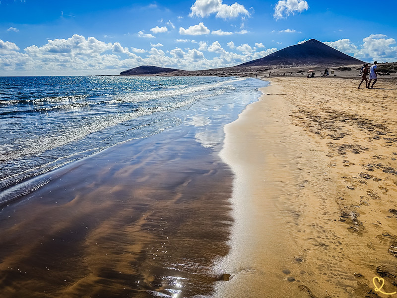 테네리페 로로 공원 입장권 사러가기