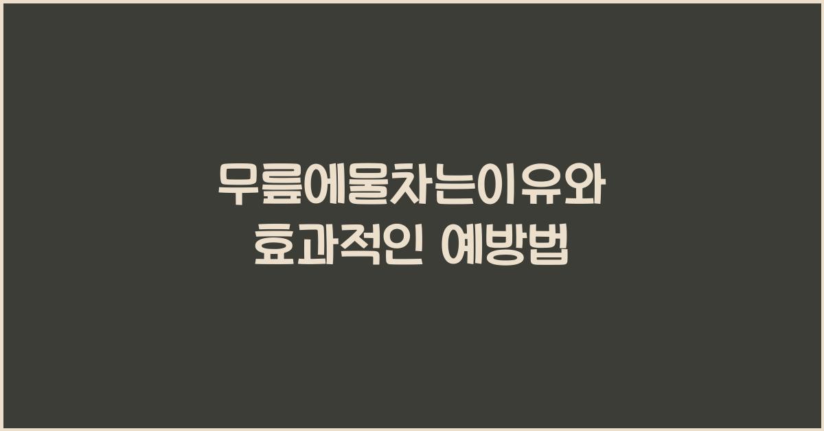 무릎에물차는이유