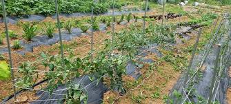 농지연금 수령액 계산 방법