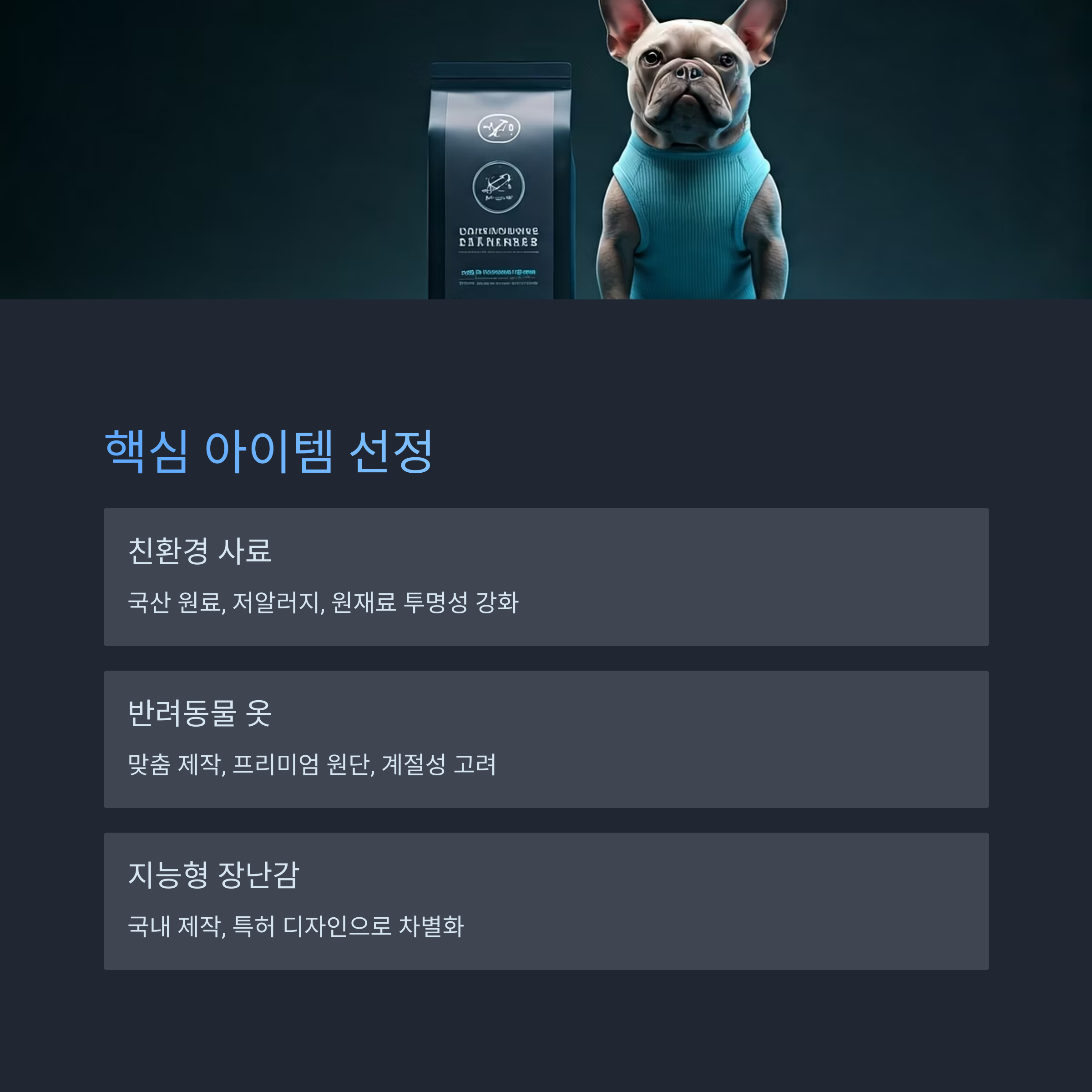 핵심 아이템 선정과 차별화