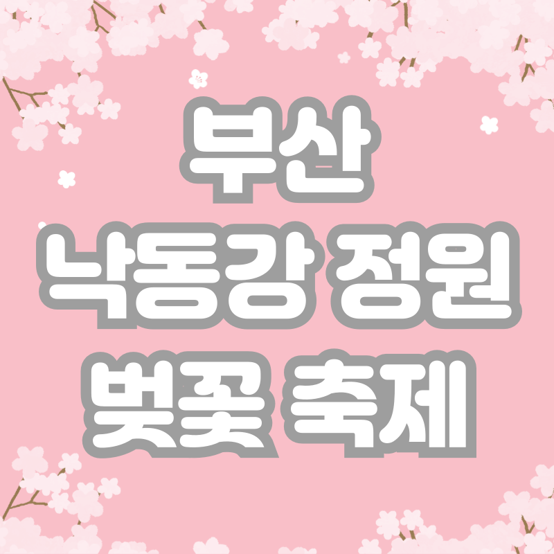 부산 낙동강 정원 벚꽃 축제