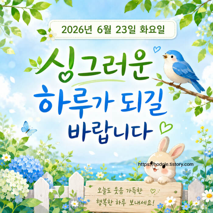 화요일 이미지