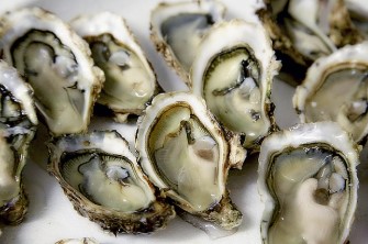 비브리오 패혈증 주의보! &ldquo;덜 익힌 해산물 위험해요&rdquo; 증상과 예방법