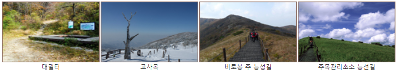 천동계곡볼거리