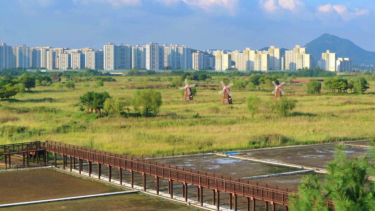 인천 소래습지생태공원 봄 나들이